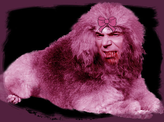 Tony Blair, Bush's Poodle
