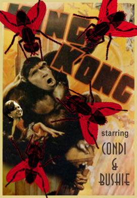Kong Bush & Condi